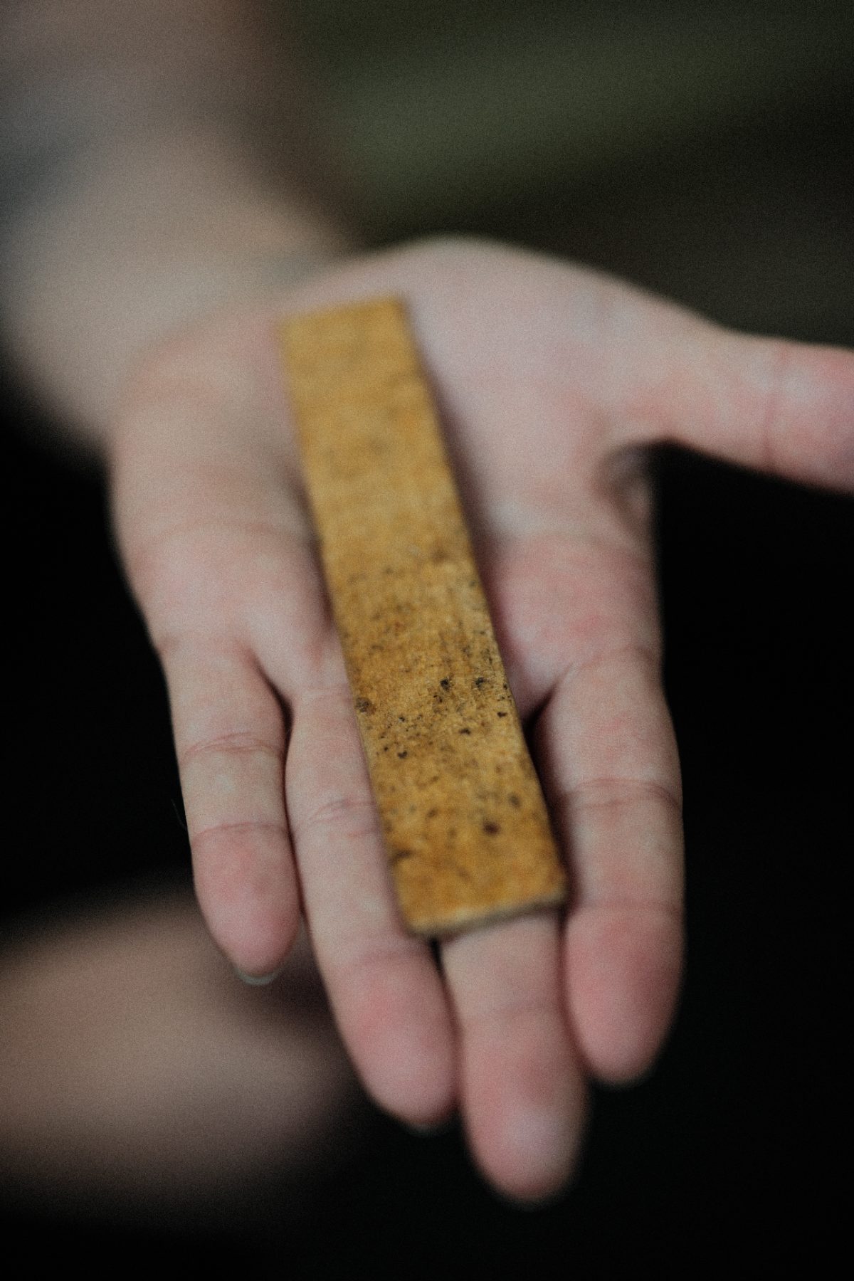 A kambô stick held in an open palm — Kambô ceremony, Austin TX